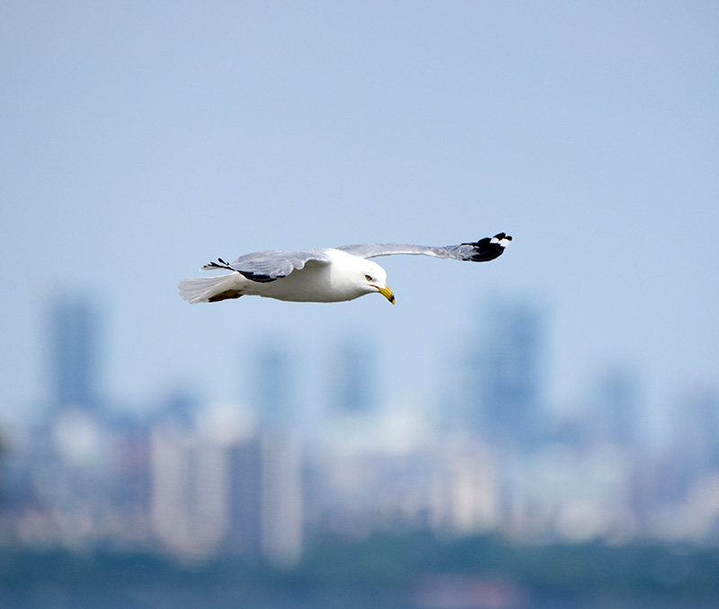 more on web hosting link