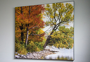 more on art prints, digital images sales link